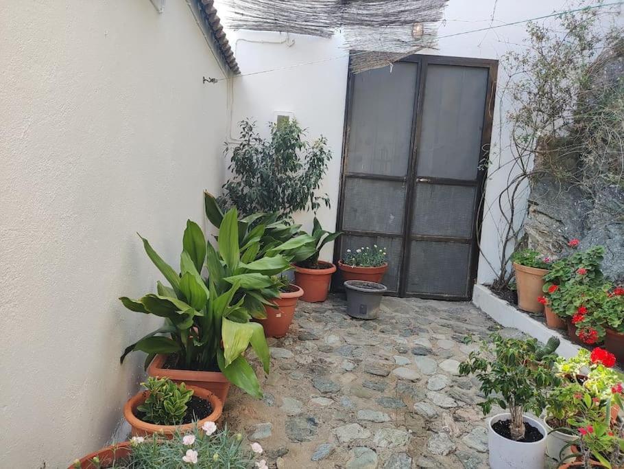 Casa En El Valle De Guainosaltos Адра Екстер'єр фото